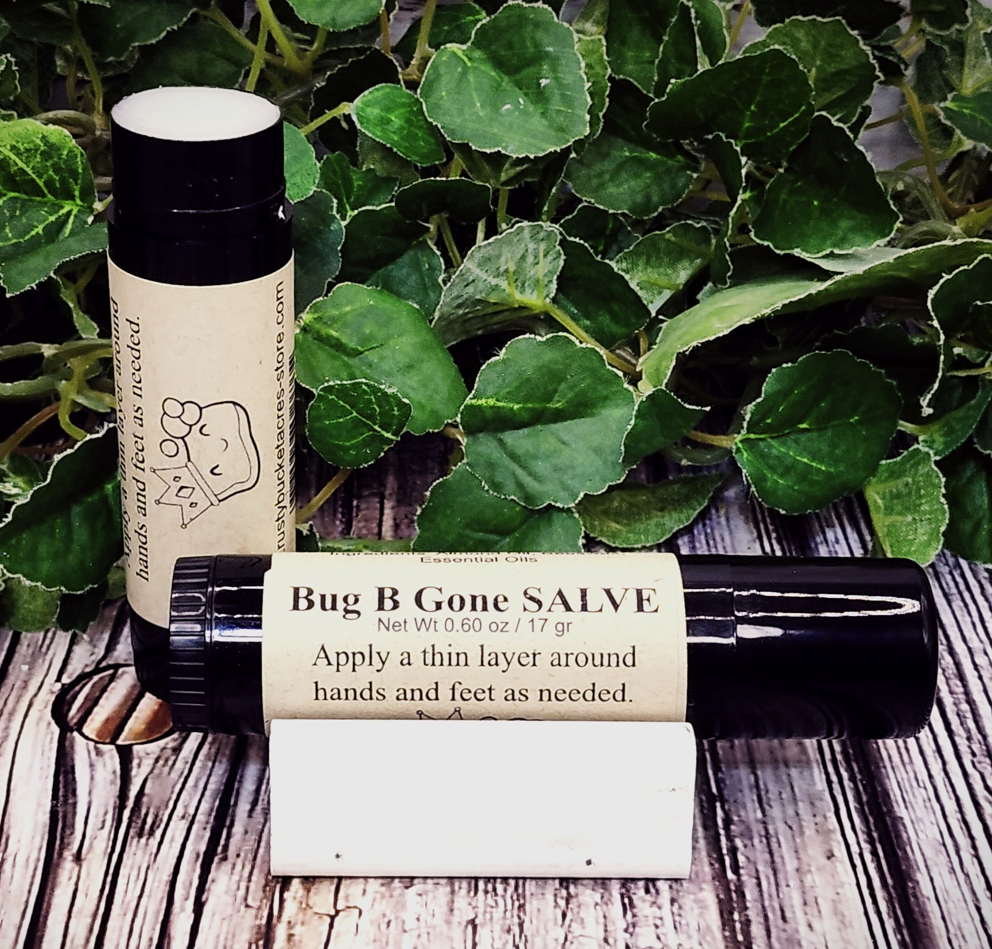 Bug B Gone Salve with label and black cap on a wooden surface with green leaves in the background