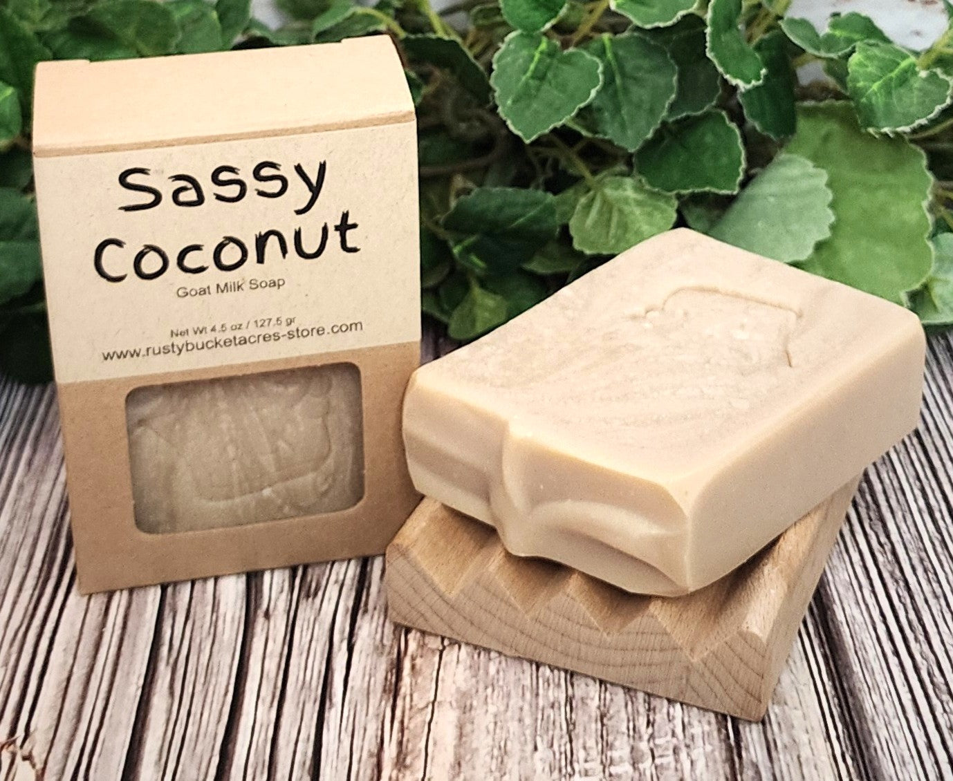 Bar of soap with 'Sassy Coconut' packaging on a wooden surface with green leaves in the background