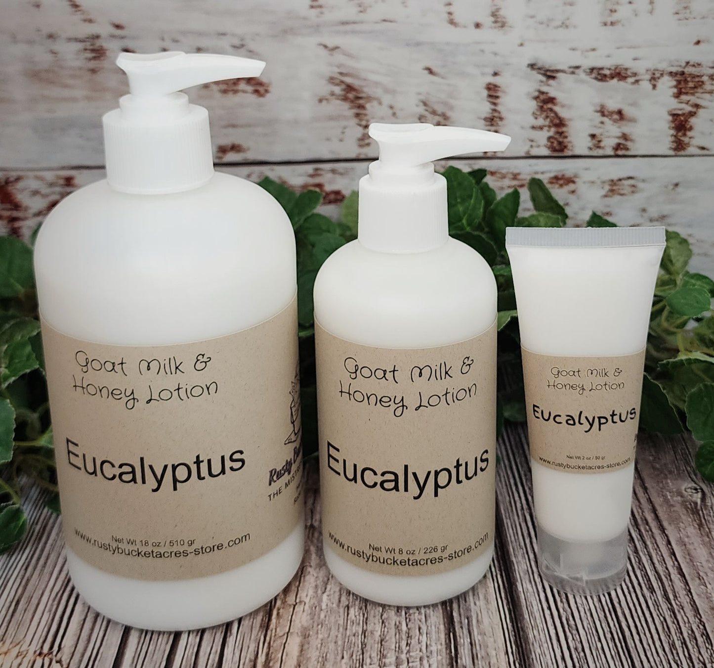Three bottles of Eucalyptus goat milk and honey lotion on a wooden surface with greenery in the background.