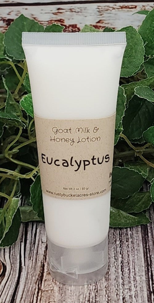 Eucalyptus Lotion