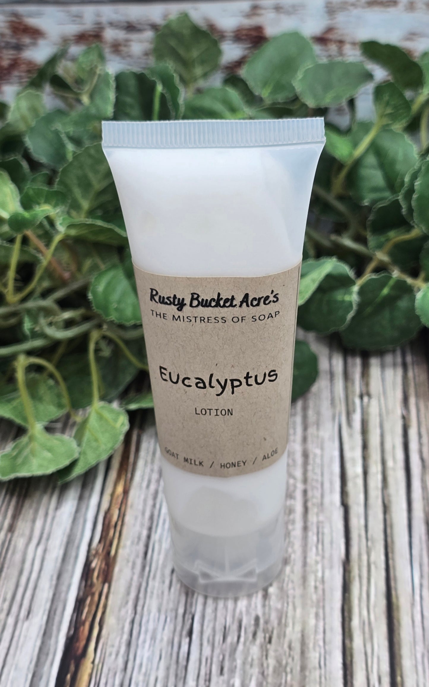 Eucalyptus Lotion