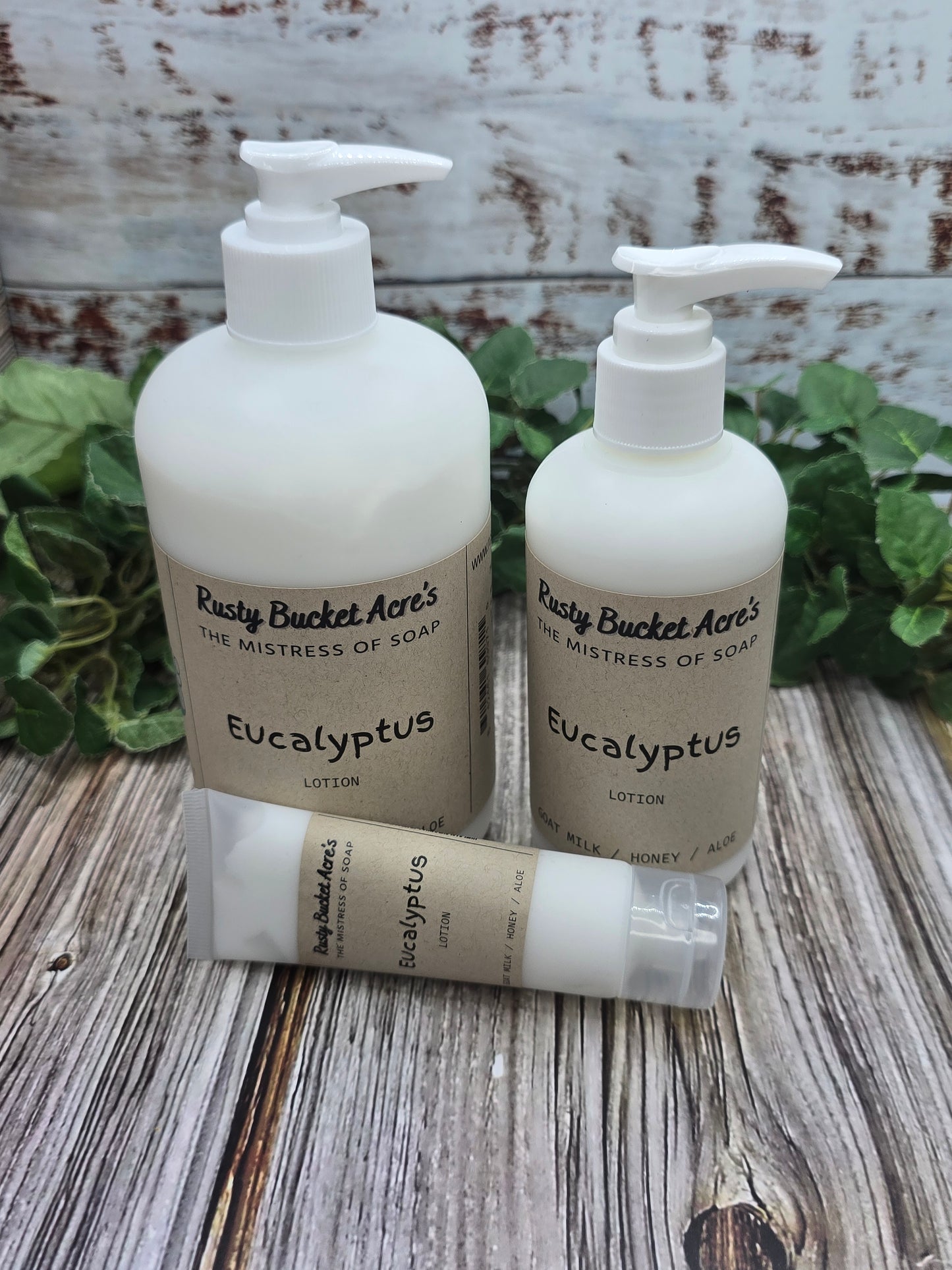 Eucalyptus Lotion